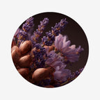 Crème mains Légère Karité – Lavande - INSTITUT KARITÉ - ALTHEA